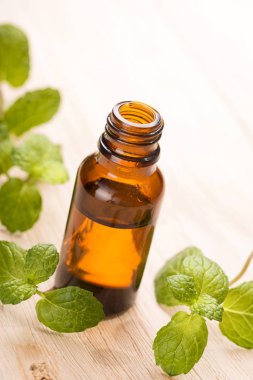 taze nane yağı ahşap tablo