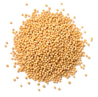 Beyaz zemin üzerinde sarı hardal tohumları izole