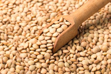 Gıda arka planını ham mercimek