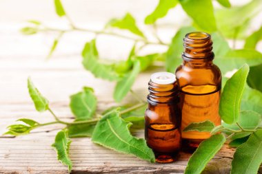 Okaliptüs esans ve taze Okaliptüs yaprakları ahşap tahta üzerinde