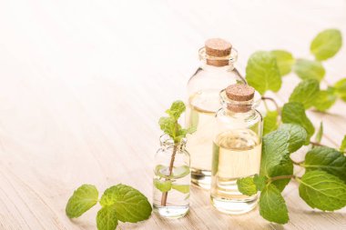 taze nane yağı ahşap tablo