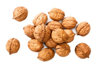 beyaz üzerine kuru ceviz