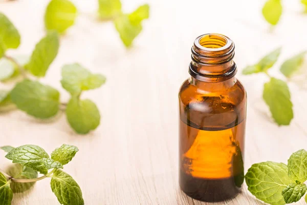 Fresh Mint Oil Wooden Table — Stock Photo, Image