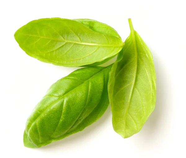 Fresh Basil Leaves Isolated White Background — Stock Photo, Image