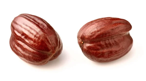 beyaz izole kurutulmuş jojoba tohumu