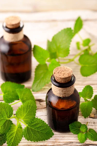 Lemon Balm Etherische Olie Fles Het Houten Bord — Stockfoto