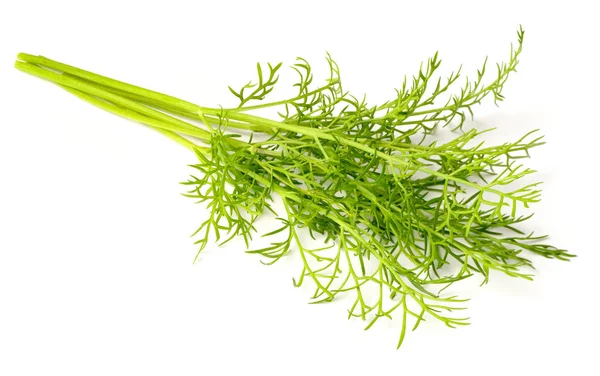 Closeup Fresh Dill Weed Isolated White Background — Stock Photo, Image