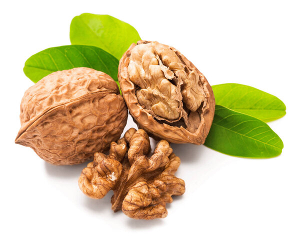 cracking walnuts with fresh leaves on white