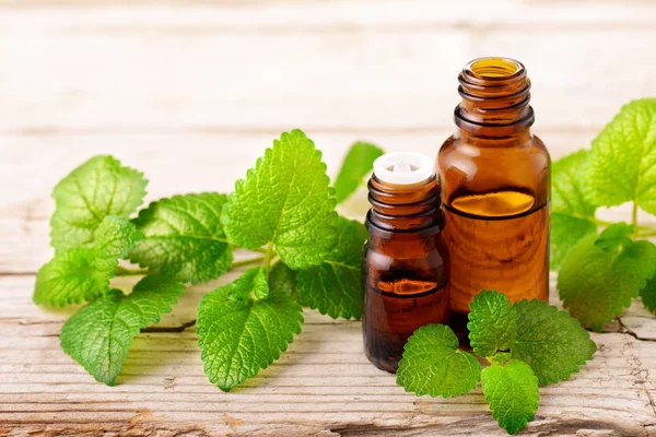 Lemon Balm Etherische Olie Fles Het Houten Bord — Stockfoto