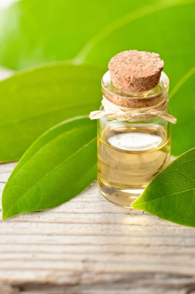 cinnamon oil and fresh cinnamon leaves on the wooden table