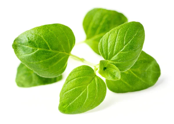 Closeup Fresh Oregano Leaves Isolated White — Stock Photo, Image