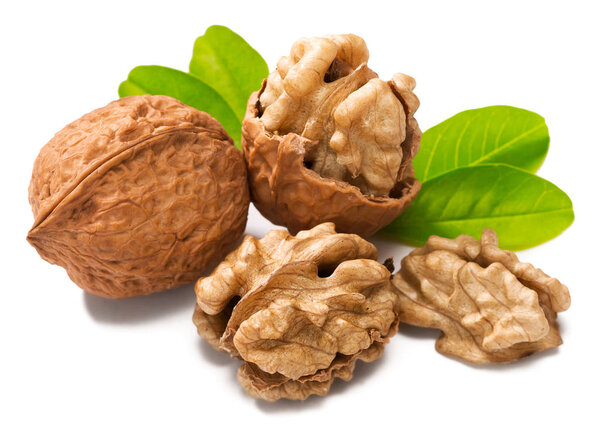cracking walnuts on white