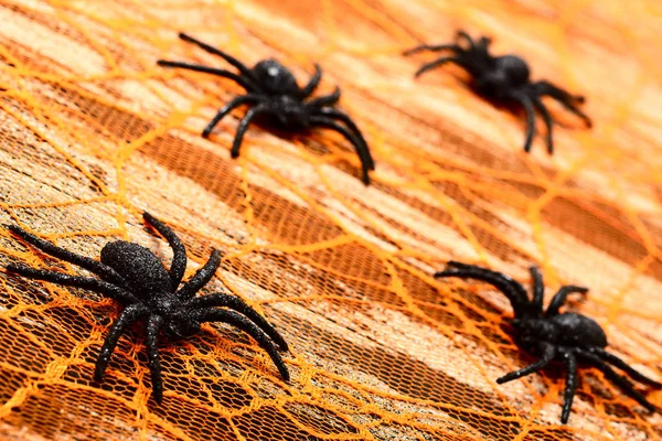 Schwarze Spinnen Auf Orangefarbenem Hintergrund — Stockfoto