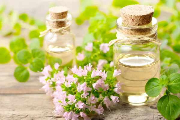 Oregano Bloesem Etherische Olie Verse Oregano Bloemen Houten Tafel — Stockfoto