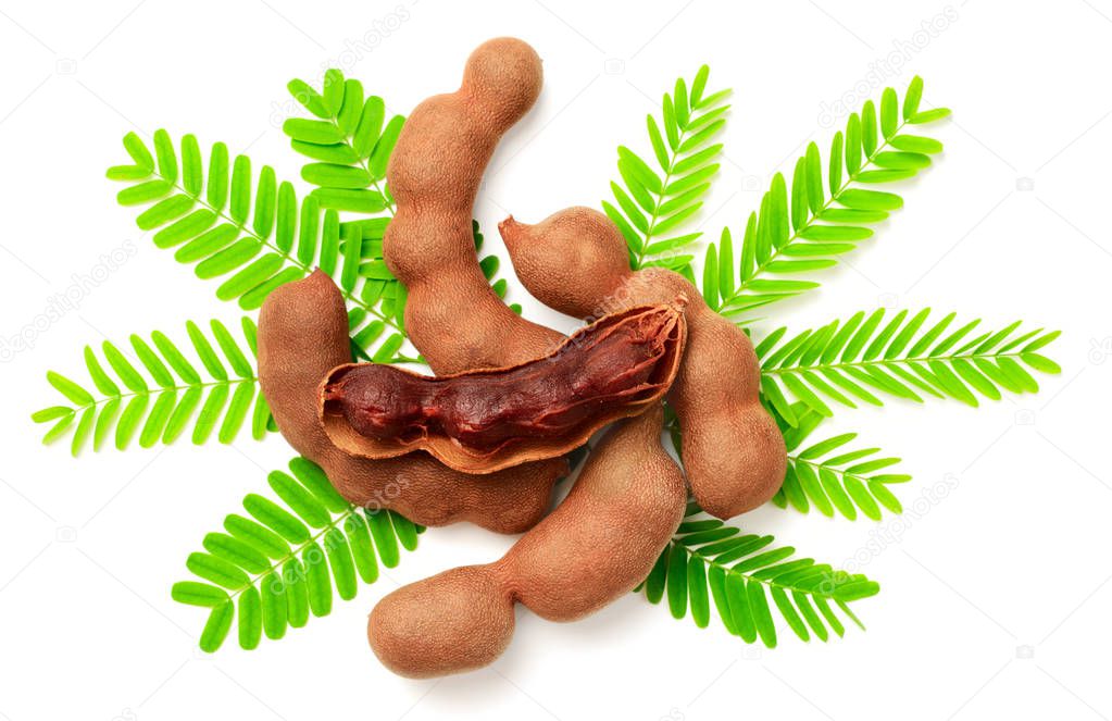 fresh tamarind fruits and leaves isolated on white background