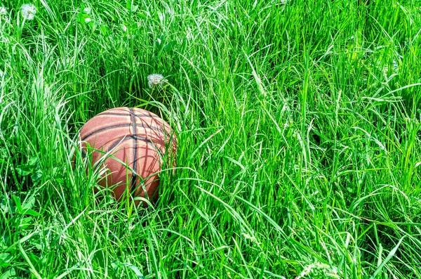 Rode Basketbal Groen Gras — Stockfoto