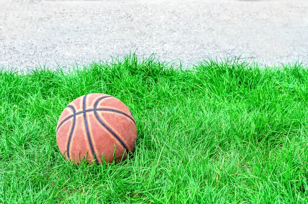 Red Basketball Green Grass Royalty Free Stock Photos