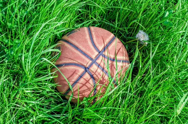 Red Basketball Green Grass Stock Image