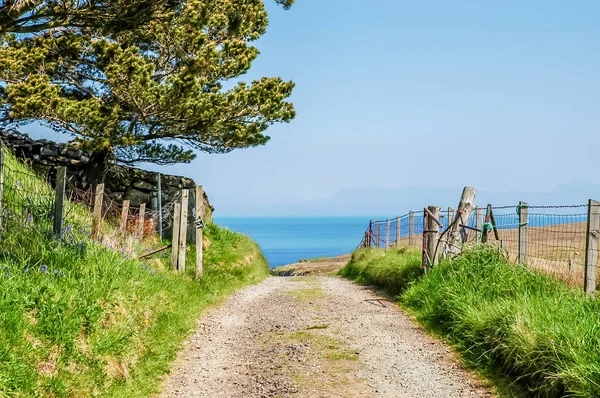 Eski yol denize lider