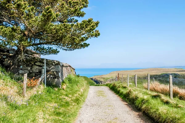 Eski yol denize lider