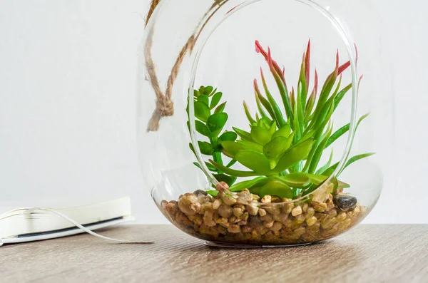 Glass jar with decorative plants and stones on the edge of the table on a white background
