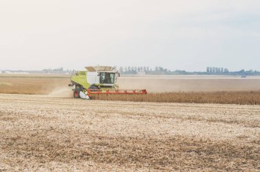 Tarım birleştirme alanına soya fasulyesi hasat.