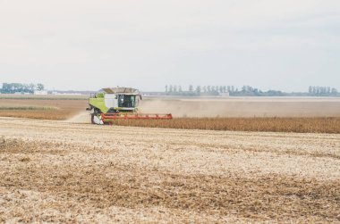 Tarım birleştirme alanına soya fasulyesi hasat.