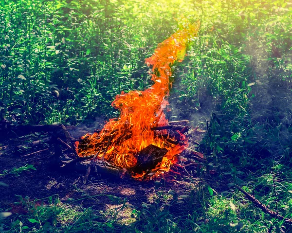 Φωτιά Στο Δάσος Για Ιστορικό Της Πράσινο Γρασίδι — Φωτογραφία Αρχείου