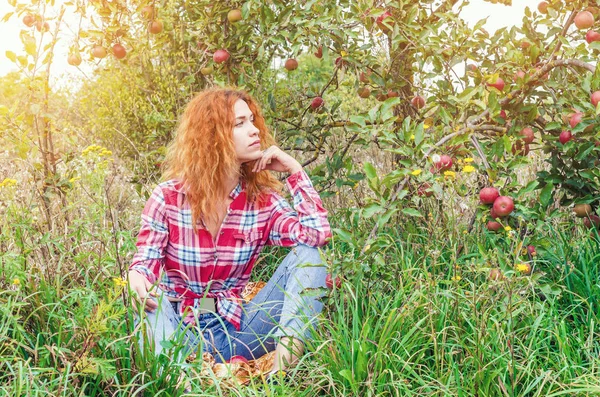 Vörös Hajú Fiatal Lány Egy Almafa Alatt Nyugodt Zöld Őszi — Stock Fotó