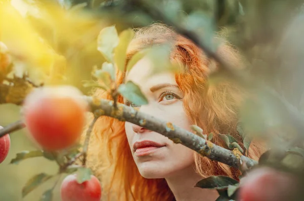 A vörös hajú lány portréja a kertben, a levelek és gyümölcsök — Stock Fotó