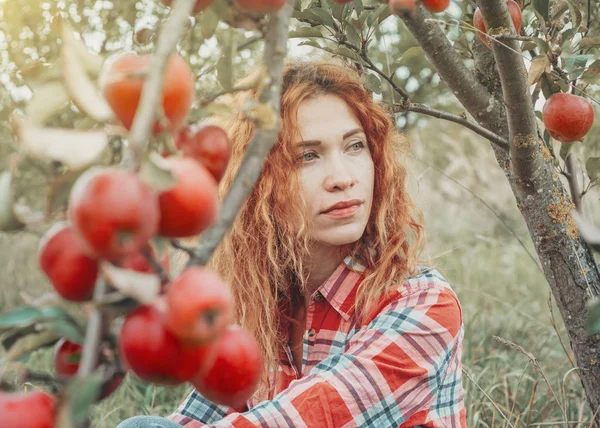 Encantadora mujer pelirroja, retrato en el jardín de manzanas en el backgro — Foto de Stock