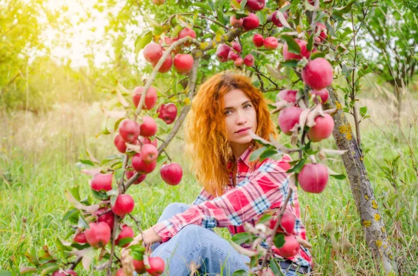Charmante femme aux cheveux roux, portrait dans le jardin de pommes sur le dos — Photo