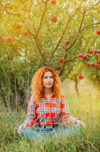 Jeune femme est assise sur une herbe verte dans un jardin de pommes. Harv ! — Photo