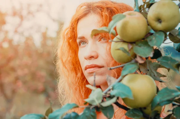 Φθινόπωρο πορτρέτο του μια νεαρή γυναίκα σε ένα εγκαταλελειμμένο κατάφυτη μήλο — Φωτογραφία Αρχείου