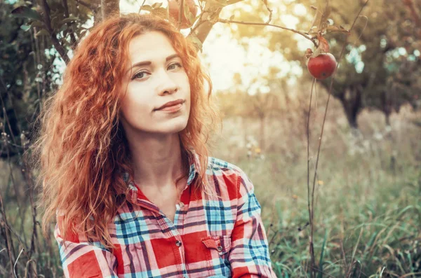 Mulher de cabelo vermelho encantador, retrato no jardim da maçã no backgro — Fotografia de Stock