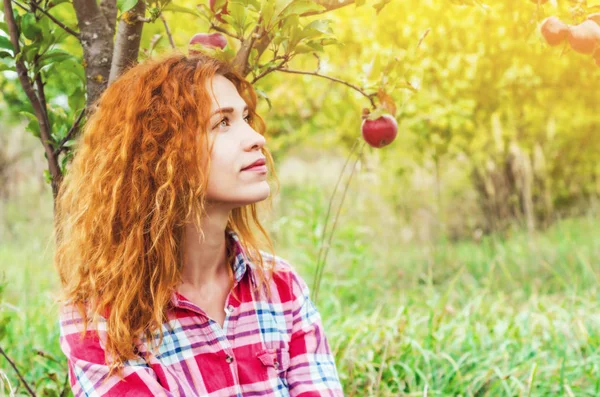 Charmante femme aux cheveux roux, portrait dans le jardin de pommes sur le dos — Photo