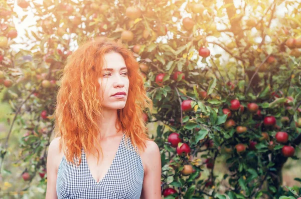 Charmante femme aux cheveux roux, portrait dans le jardin de pommes sur le dos — Photo