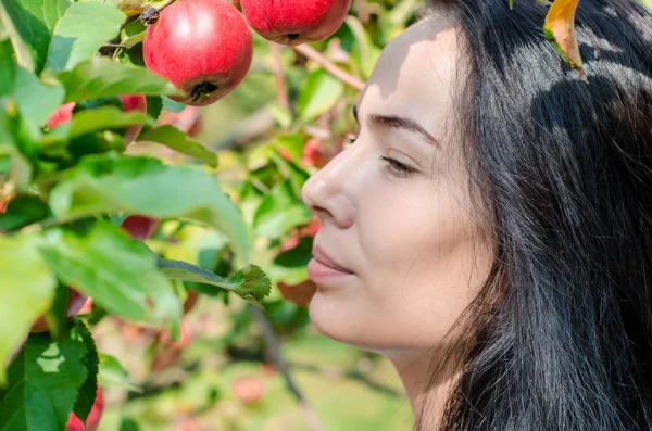 Beautiful brunette girl, portrait on  background of apple tree branches with large red apples. Summer mood. Picking apples. Good harvest. Eva Style