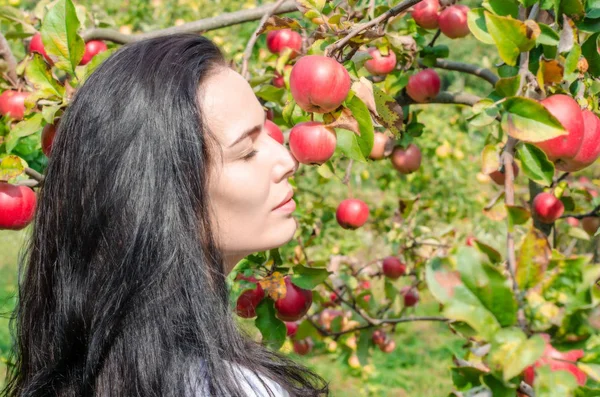 Beautiful brunette girl, portrait on  background of apple tree branches with large red apples. Summer mood. Picking apples. Good harvest. Eva Style