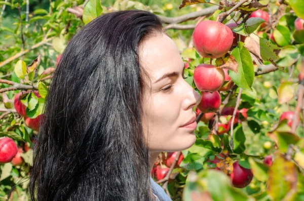 Beautiful brunette girl, portrait on  background of apple tree branches with large red apples. Summer mood. Picking apples. Good harvest. Eva Style