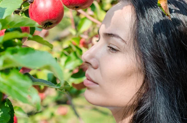 Hermosa Chica Morena Retrato Sobre Fondo Ramas Manzano Con Grandes — Foto de Stock