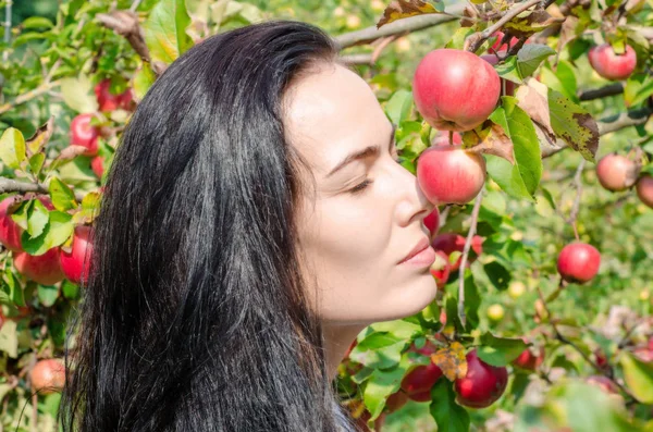 Beautiful brunette girl, portrait on  background of apple tree branches with large red apples. Summer mood. Picking apples. Good harvest. Eva Style