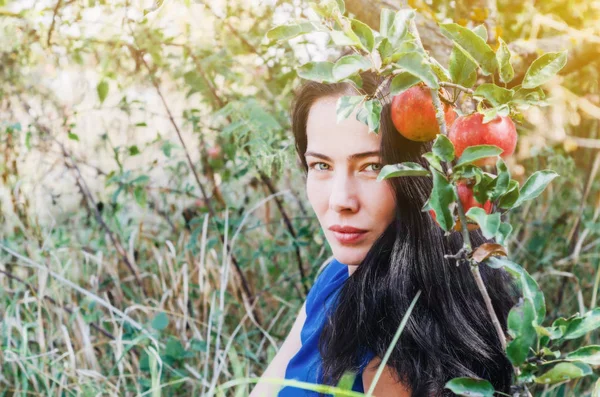 Сексуальна Брюнетка Дикому Саду Біля Гілки Яблуні Великими Червоними Яблуками — стокове фото