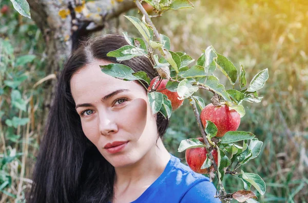 Сексуальна Брюнетка Дикому Саду Біля Гілки Яблуні Великими Червоними Яблуками — стокове фото