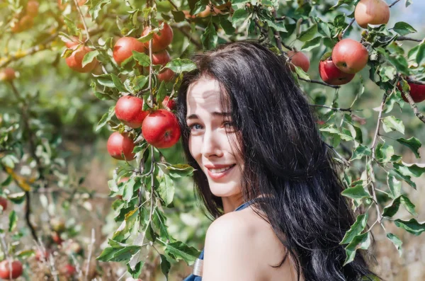 Szexi Barna Egy Vad Alma Gyümölcsös Portré Háttérben Apple Ágon — Stock Fotó