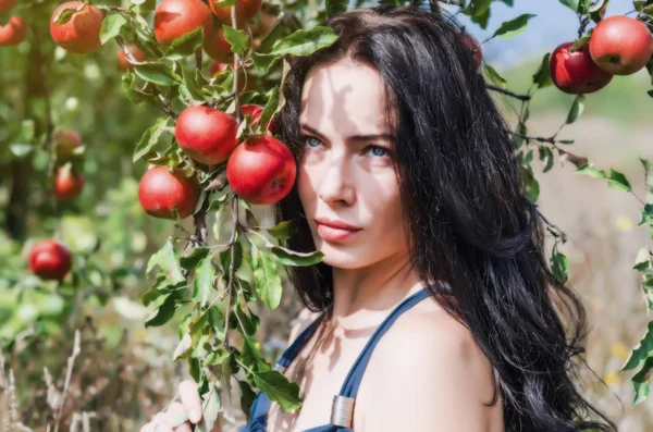 Brune Sexy Dans Verger Pommiers Sauvages Portrait Sur Branche Pomme — Photo