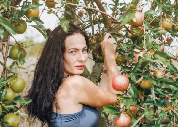 Femme Robe Été Légère Encadrée Brindilles Pommiers Dans Jardin Abandonné — Photo