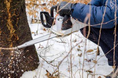 karanlık ceketli adamı elektrikli testere yardımıyla bir ağaç keser. Ormansızlaşma. Ahşap hasat. İskele