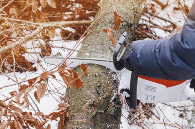 Elektrikli testere, tutan bir adam elinde kış orman içinde bir ağaç keser. Ormansızlaşma. Ahşap hasat. İskele
