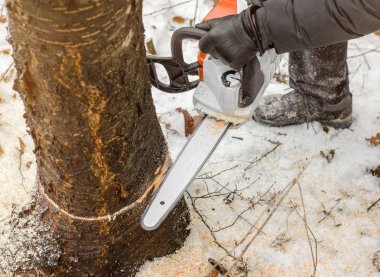 Elektrikli testere, tutan bir adam elinde kış orman içinde bir ağaç keser. Ormansızlaşma. Ahşap hasat. İskele